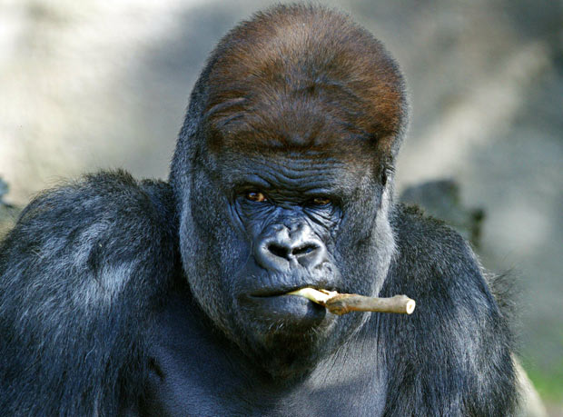 午fun来了160318:熬夜后剧烈运动会猝死 所以千万别运动