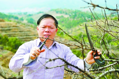 赖木生 长汀荒山种果第一人