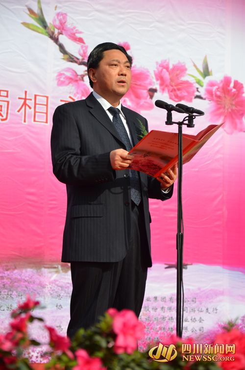 中共游仙区委书记丁湘致辞