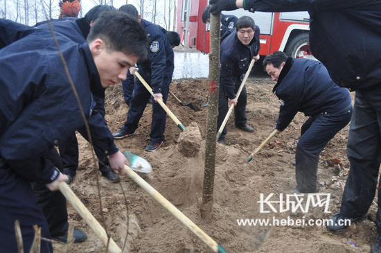 晋州市公安机关百名民警冒雨义务植树百余棵_凤凰网