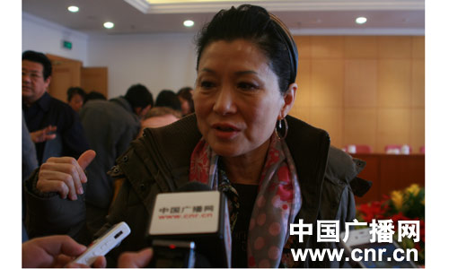 朱燕来委员介绍香港解决中小企业融资难经验(组图)