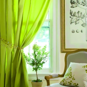 草绿色的窗帘搭配迷你盆栽,植物花纹靠包和挂画,令居室的自然感更丰富