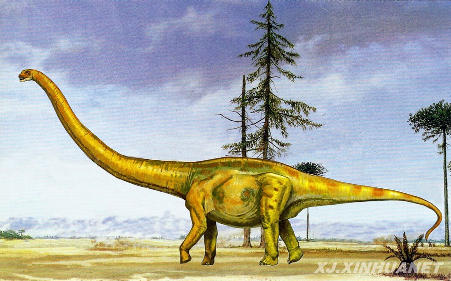 新疆鄯善发现我国最大侏罗纪恐龙化石