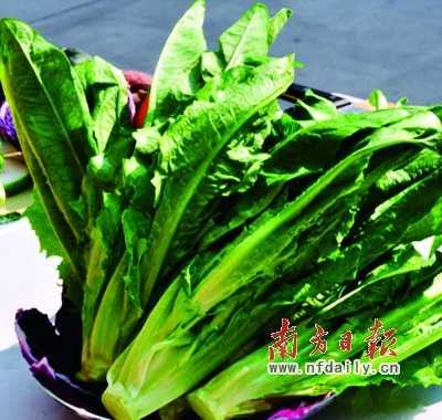 蔬菜新吃_凤凰网