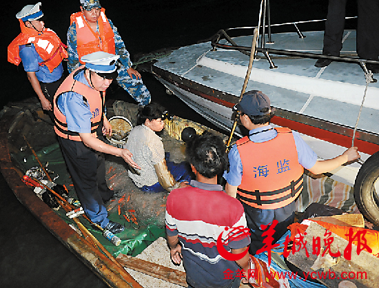 深圳湾非法捕捞追踪 高峰时800人下海