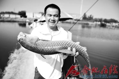 乖乖十来斤的大混子上钩了