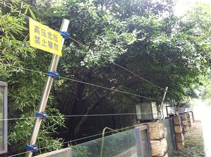 街边电网安得低伸手就能碰到