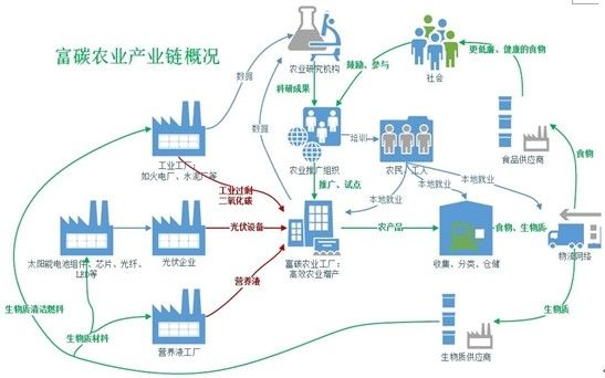 从寿光蔬菜产业集群看我国农业产业集群发展