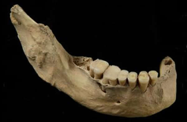 在北京附近的田园洞中发现的4万年前人类下颚.